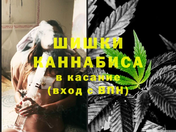 ПСИЛОЦИБИНОВЫЕ ГРИБЫ Нязепетровск