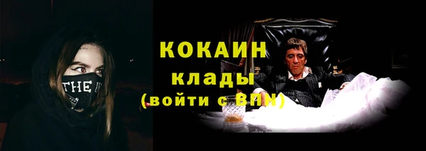 ПСИЛОЦИБИНОВЫЕ ГРИБЫ Нязепетровск