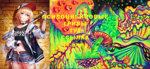 ПСИЛОЦИБИНОВЫЕ ГРИБЫ Нязепетровск