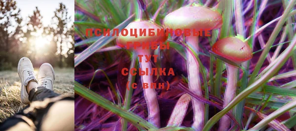 ПСИЛОЦИБИНОВЫЕ ГРИБЫ Нязепетровск