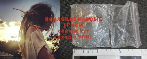 ПСИЛОЦИБИНОВЫЕ ГРИБЫ Нязепетровск