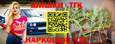 сатива Берёзовский