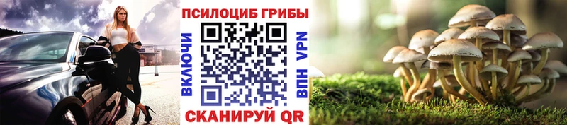 Галлюциногенные грибы мицелий  цена наркотик  Гуково 