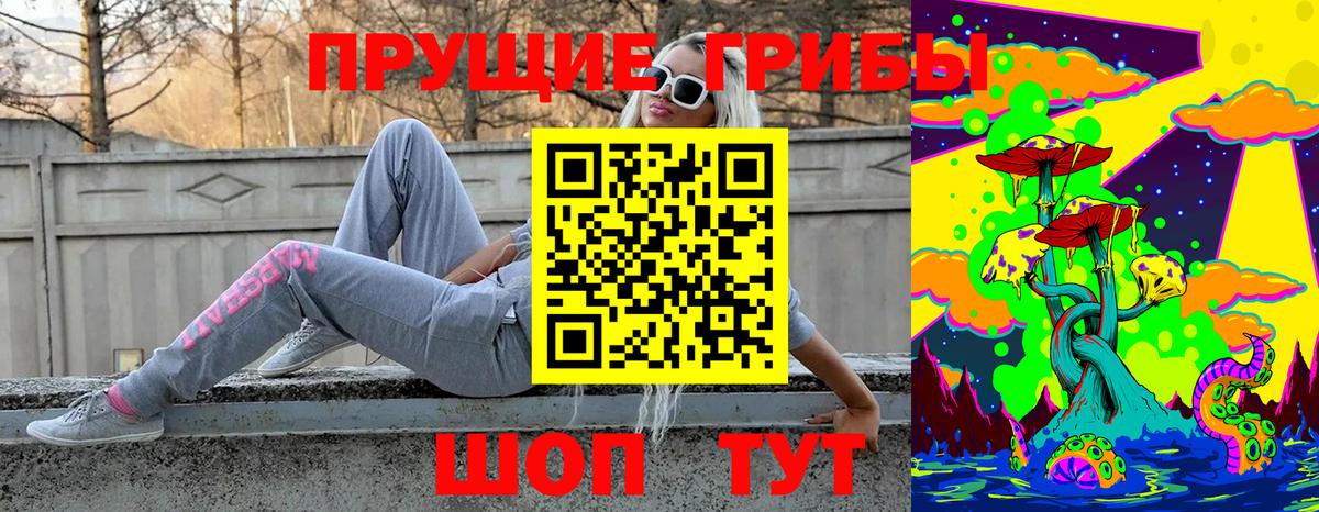 Псилоцибиновые грибы прущие грибы Гуково