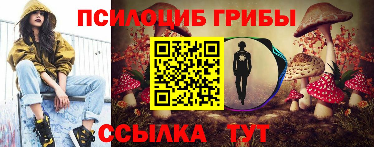 Псилоцибиновые грибы Magic Shrooms Гуково